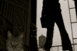 Misha Dontsov