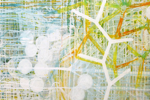 Plant 01 Carles Guitart