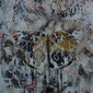 butterfly effect #1