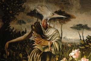 nicola andrea