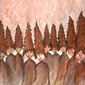 Tree Group