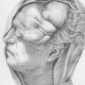 Mütter Museum Drawing 4