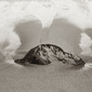 Sunrise Surf 2, Garapatta