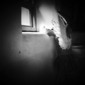Angel at the window