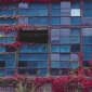 Industrial Color, Rome, NY 2008