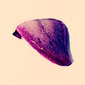 Gooseberry
