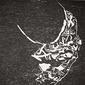 Seaweed Woodcut 4