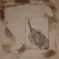 Kelp Etching 