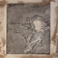 Kelp Etching 2.