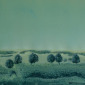 Wishful Landscape (6)