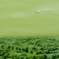 Landscape (2)