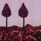 Untitled (10-1)