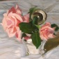 Pink Roses