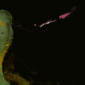 Abstract Painting 9