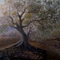 Last Tree Standing