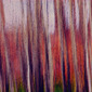 Pastel Grove Red