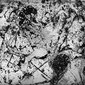 The history of water_05