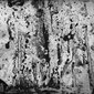 The history of water_07