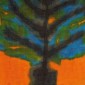 The Tree of Light