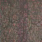 The Red Grape Vine