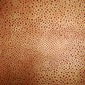 Red dots on gold