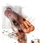Homme chauve-souris