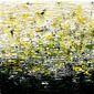 green - yellow - white