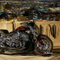HARLEY DAVISON