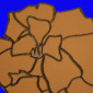 Flower 14