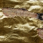 fish print