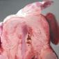 meat me I