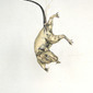 The Rat (rattus norvegicus)