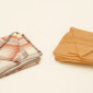 Napkin