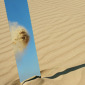 mirrorscape 8 - The Thrown Sand