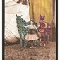 Circus Horses