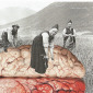 Norwegian Brain Farmers