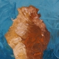 From the bronze 'Diluvio Anatomico' by Emanuele Gori
