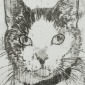 Anthropomorphism, II.