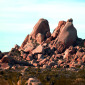 Mojave desert