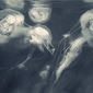 cerebral jellyfish