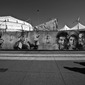 The shadows