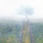 Vanishing