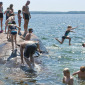 Summer Bathers