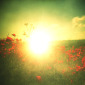 Good Morning (holga)