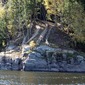 Vegetative streams