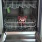 laundering money