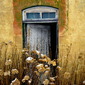 PORTAL