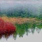 MAIN LAKE MIST
