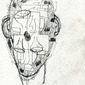 Head