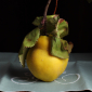 Still life on quince with stem